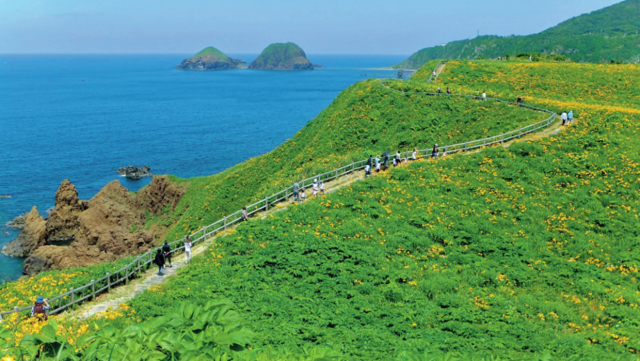 【佐渡島観光モデルコース:1日目⑤】大自然を感じる一枚岩「大野亀」