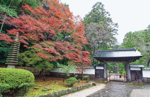 【松江×お抹茶体験】あじさい寺として知られる松平家の菩提寺「月照寺」