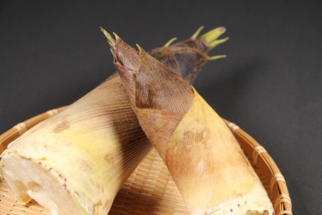 庄内生まれの在来野菜はコレ!