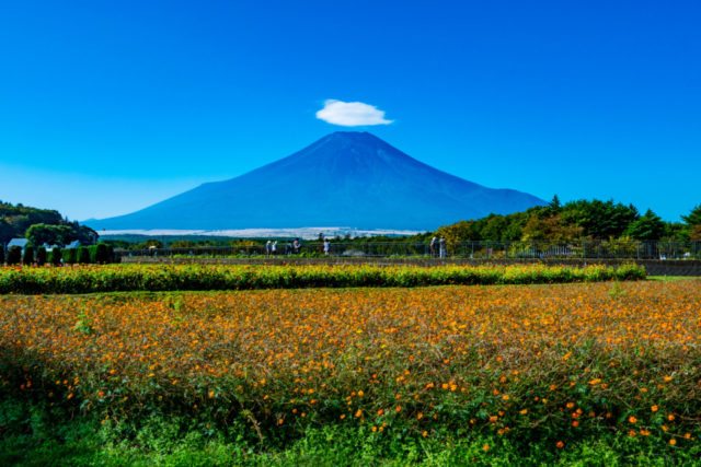 富士山麓 いいトコどり 1泊2日おすすめコース3選 観光旅行メディア まっぷるトラベルガイド