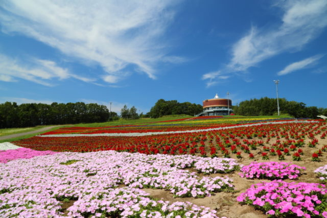 フラワーガーデン はな・てんと