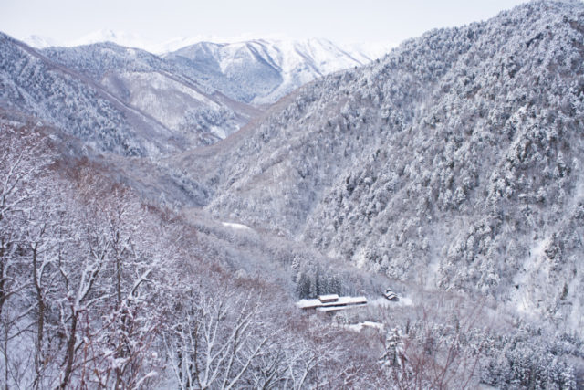 【北アルプス・白骨温泉×絶景】温泉街の四季