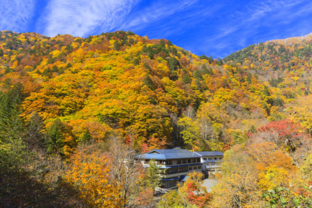 【北アルプス・白骨温泉×絶景】温泉街の四季