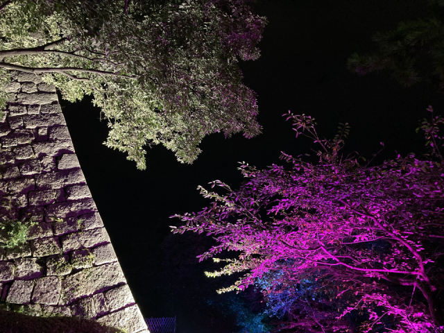 【香川・丸亀&宇多津×観光】丸亀城キャッスルロード