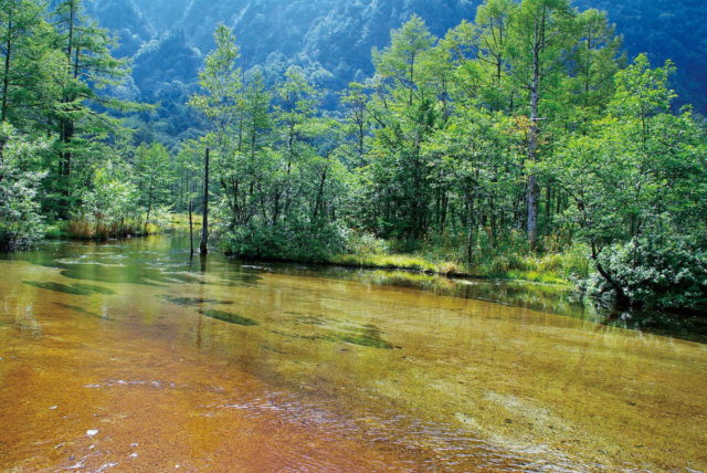 2.田代湿原&田代池