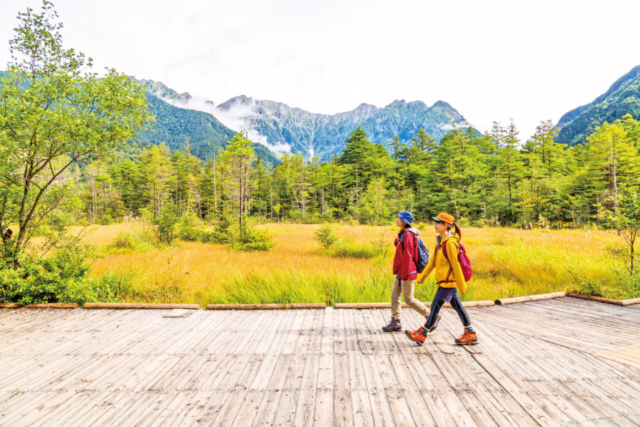 【上高地×大正池〜河童橋コース】②連なる穂高連峰を望む緑美しい湿原「田代湿原&田代池」
