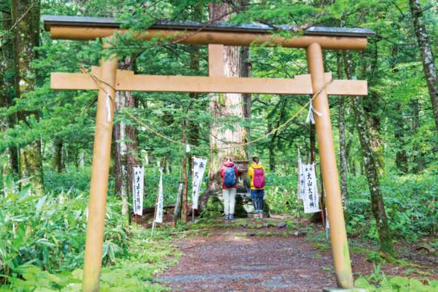 【上高地×大正池〜河童橋コース】③梓川に架かる穴場の撮影スポット「田代橋・穂高橋」