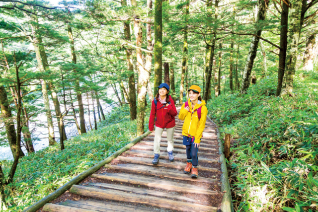 【上高地×河童橋〜明神橋コース】③癒しの原生林と涼しげな水辺の道「梓川右岸歩道」