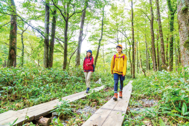 【上高地×河童橋〜明神橋コース】③癒しの原生林と涼しげな水辺の道「梓川右岸歩道」