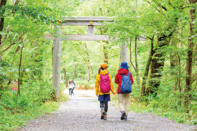 【上高地×河童橋〜明神橋コース】④日本アルプスを守る山の神様にお参り「穂高神社奥宮」