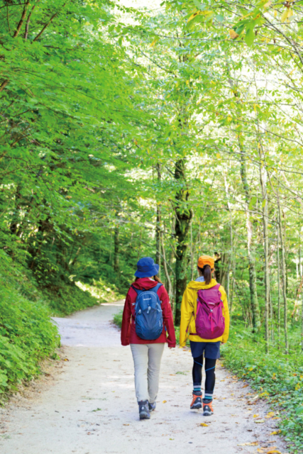 【上高地×河童橋〜明神橋コース】⑧白砂を踏みしめるゆるやかな道「梓川左岸歩道」