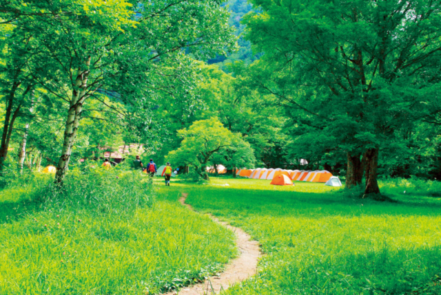 【上高地×明神~徳沢・横尾コース】③ハルニレの木が美しい草原「徳沢」