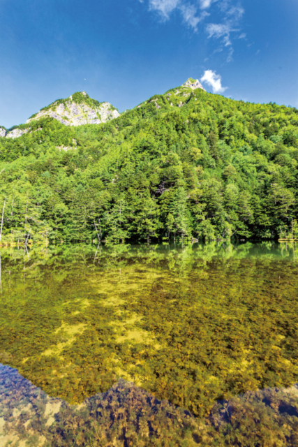 【北アルプス・上高地×絶景】明神池