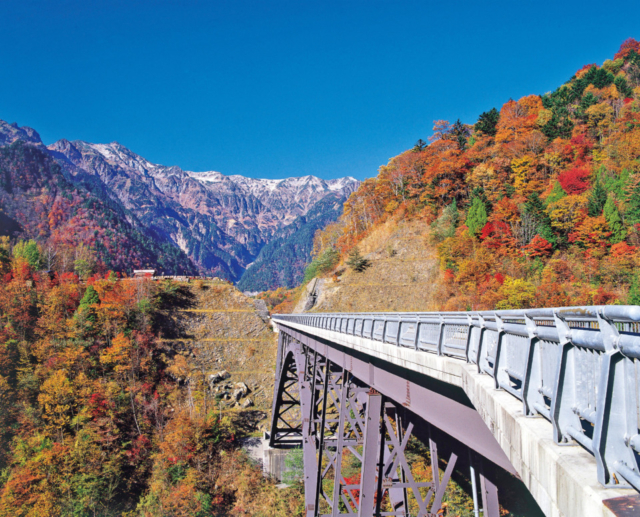 【奥飛騨温泉郷×新穂高温泉観光】大自然のなかに架かる大橋「北アルプス大橋」