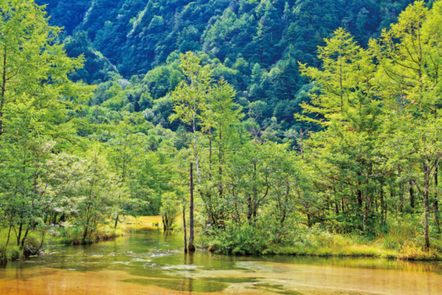 【北アルプス・上高地×絶景】田代池