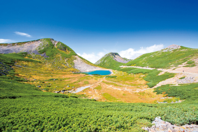 【北アルプス・乗鞍×絶景】畳平