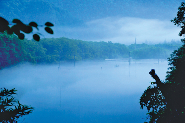 【上高地×大正池〜河童橋コース】①大噴火で姿を現した幻想的な池「大正池」