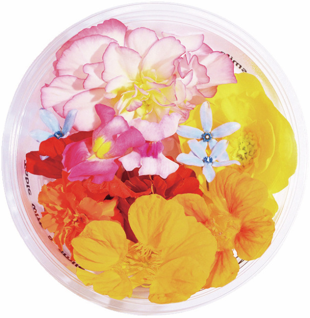 【磐梯高原・猪苗代のランチ&スイーツ店】緑と花がいっぱいの秘密基地に迷い込んだよう「Botanical Shop & Farmers Cafe Ca-Ga」