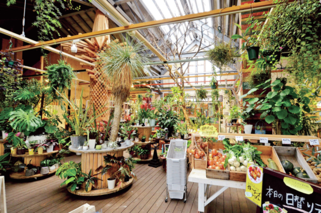 【磐梯高原・猪苗代のランチ&スイーツ店】緑と花がいっぱいの秘密基地に迷い込んだよう「Botanical Shop & Farmers Cafe Ca-Ga」