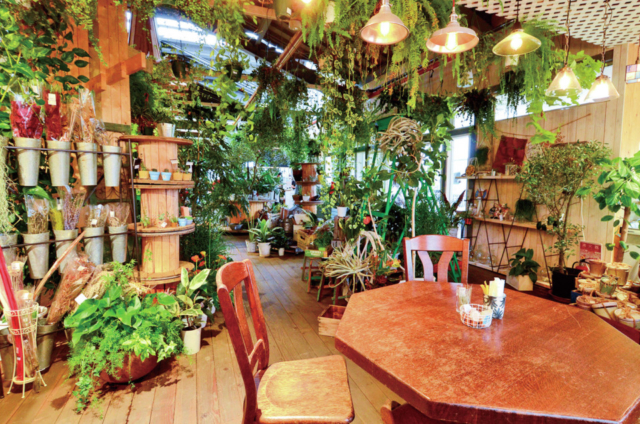 【磐梯高原・猪苗代のランチ&スイーツ店】緑と花がいっぱいの秘密基地に迷い込んだよう「Botanical Shop & Farmers Cafe Ca-Ga」