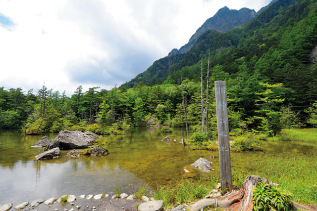 【上高地×河童橋〜明神橋コース】⑤イワナも泳ぐ神秘的で澄んだ池「明神池」