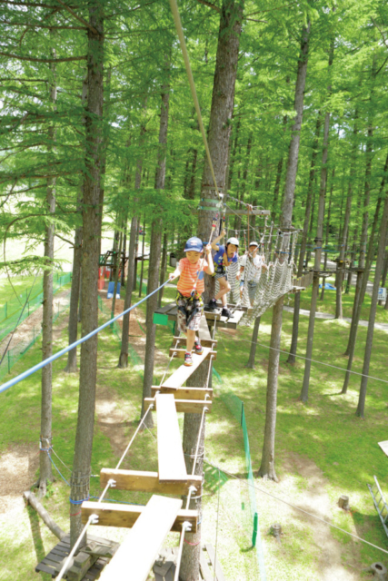 【木の上遊び】ツリーアドベンチャー