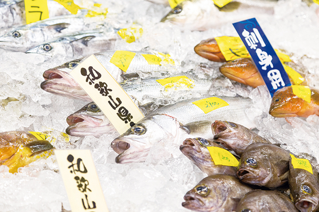 とれとれ市場はこんなところ