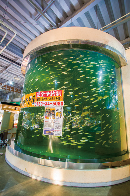 とれとれ市場はこんなところ