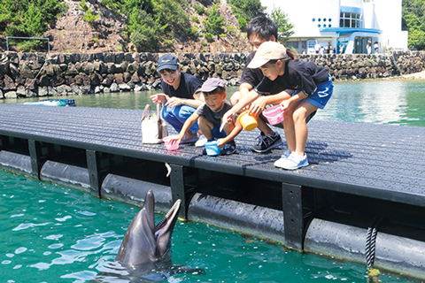 【和歌山・太地&串本×イルカとふれあい体験】広大なクジラのテーマパーク「太地町立くじらの博物館」