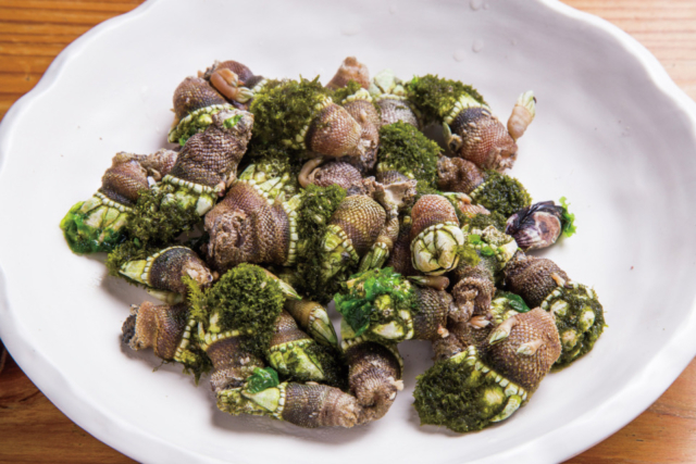 【白浜グルメ×海鮮】長久酒場