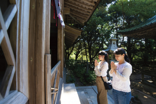 萩 城下町サイクリング⑤自転車乗り入れOK!萩城跡指月公園へ