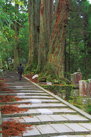 【高野山・奥之院参拝スポット③】平安期にはこの川で身を清めて参拝していた「中の橋」