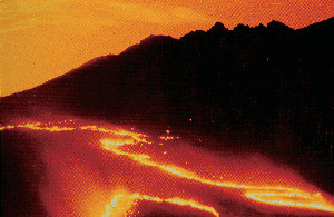 世界農業遺産にも認定