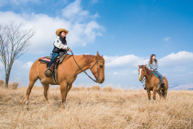 夢★大地グリーンバレー