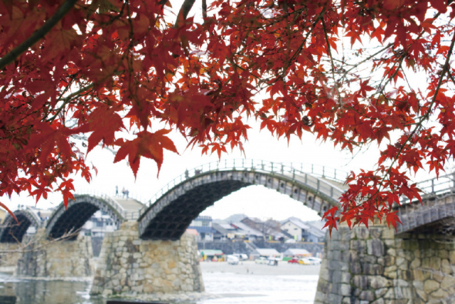 【岩国観光】お散歩モデルコース①錦帯橋