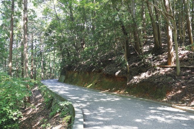 【岩国観光】お散歩モデルコース②岩国城