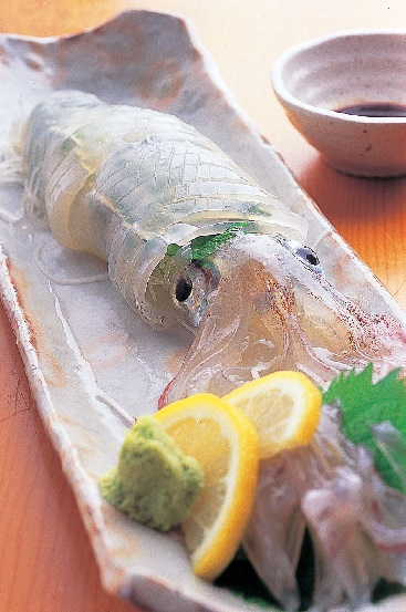 萩・津和野 山口