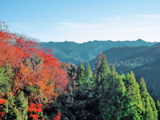 【熊野古道・中辺路×発心門王子〜熊野本宮大社コース】3.コースのハイライトとなる場所「伏拝王子」