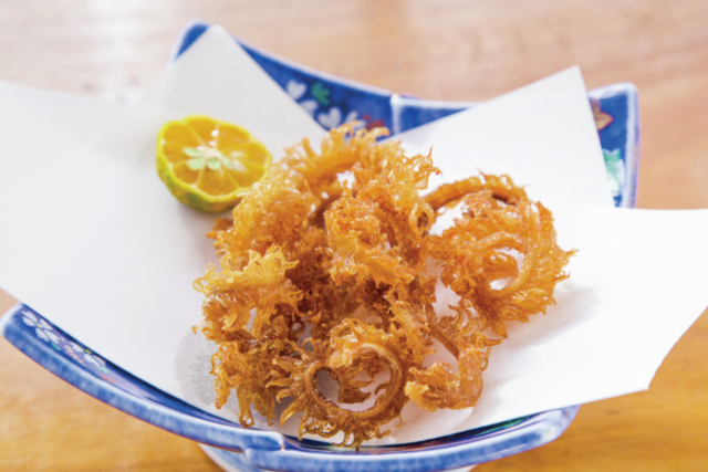 【白浜グルメ×海鮮】海ごはん山ごはん マルキヨ