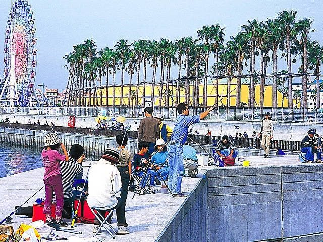 【和歌山マリーナシティ】初心者からベテランまで釣りを楽しめる「海釣り公園」