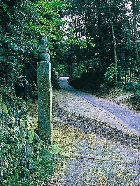 高野山町石道 世界遺産
