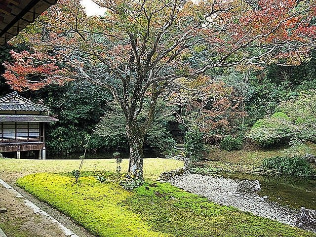 宇部の観光スポット 宗隣寺庭園(龍心庭)