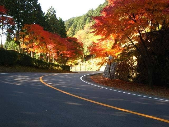 【比叡山延暦寺へのアクセス】奥比叡ドライブウェイ