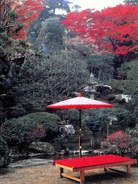 【滋賀・坂本×観光】<ココでひと休み♪>しっとりとした風情の中抹茶で一服「旧竹林院」