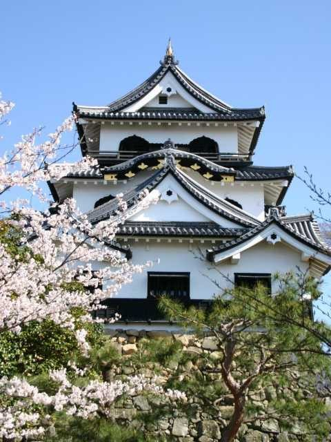 近江鉄道「ガチャコン」に乗って訪ねたい名所① 彦根城