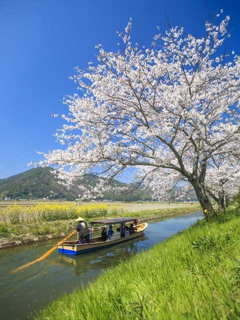 近江八幡和船観光協同組合
