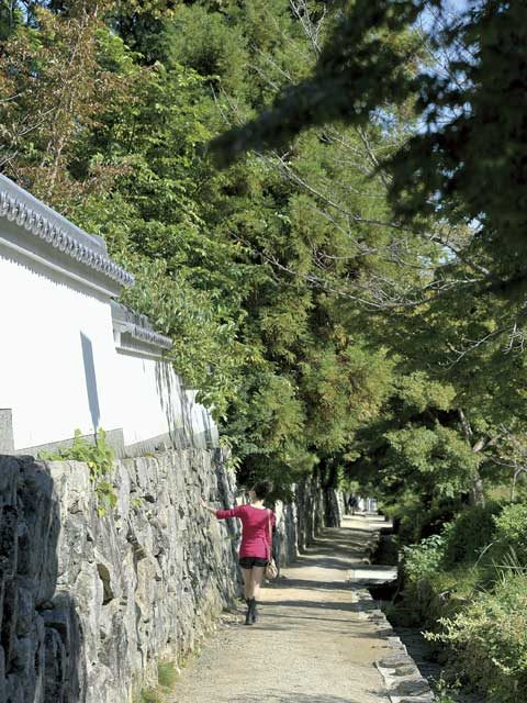 【滋賀・坂本×観光】<check!>穴太衆積みの石垣