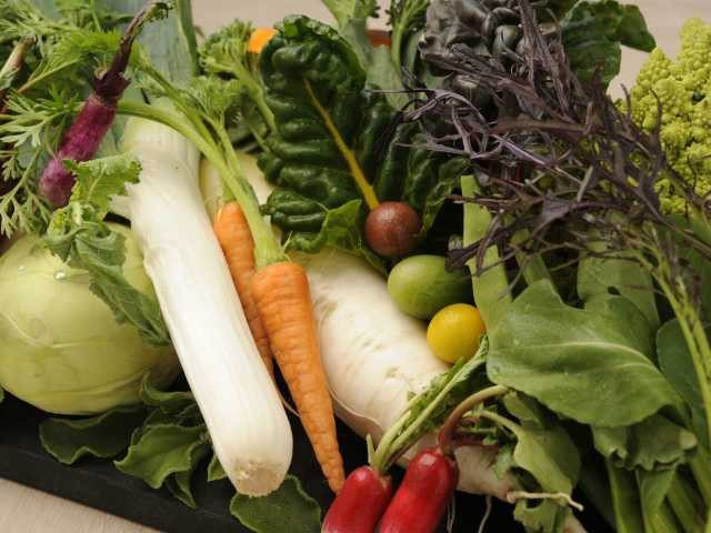 【滋賀×近江野菜】“気取らずおいしい”がモットー「洋食SHIMADA」