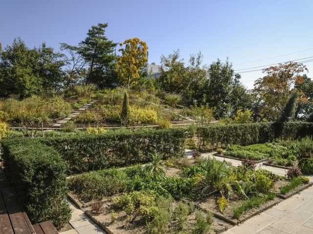 近江おごとハーブガーデン