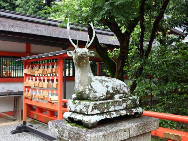 【善峯寺周辺×紅葉】和歌にも詠まれた神鹿が迎える由緒深き社「大原野神社」